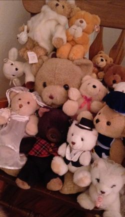 bear collection