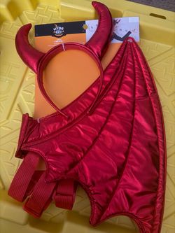 Halloween costumes adult