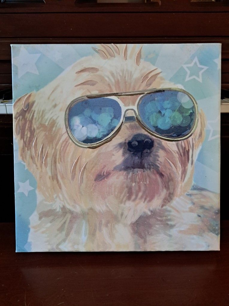 Shaded  Pooch