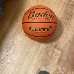 Baden Perfection Indoor Basketball 