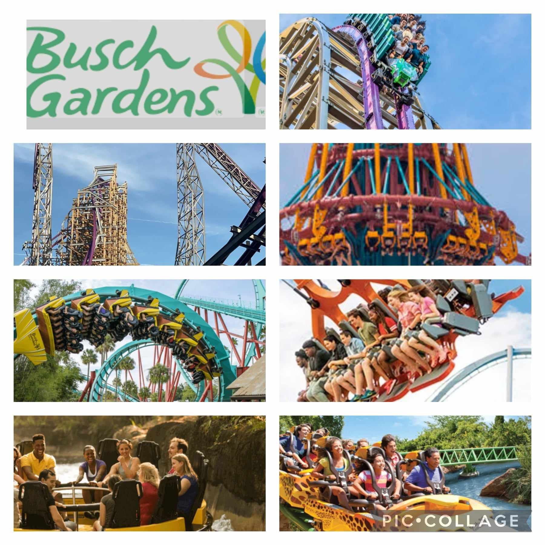 Family Pack For Busch Gardens 
