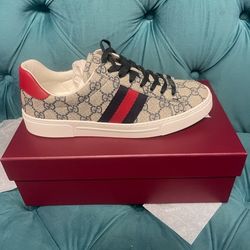 Ace Gucci Canvas Low Tops 