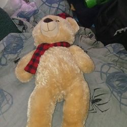 A Very Big Teddy Bear