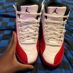 Jordan 12 “ Cherry”