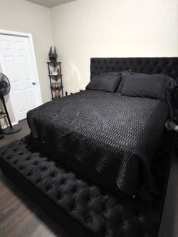 Queen size Black compartment bed