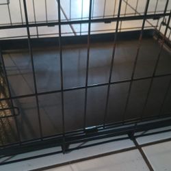 Pet Kennel 