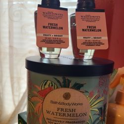 Fresh Watermelon Set