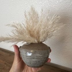 Small Pampas & Ceramic Vase 5” Tall