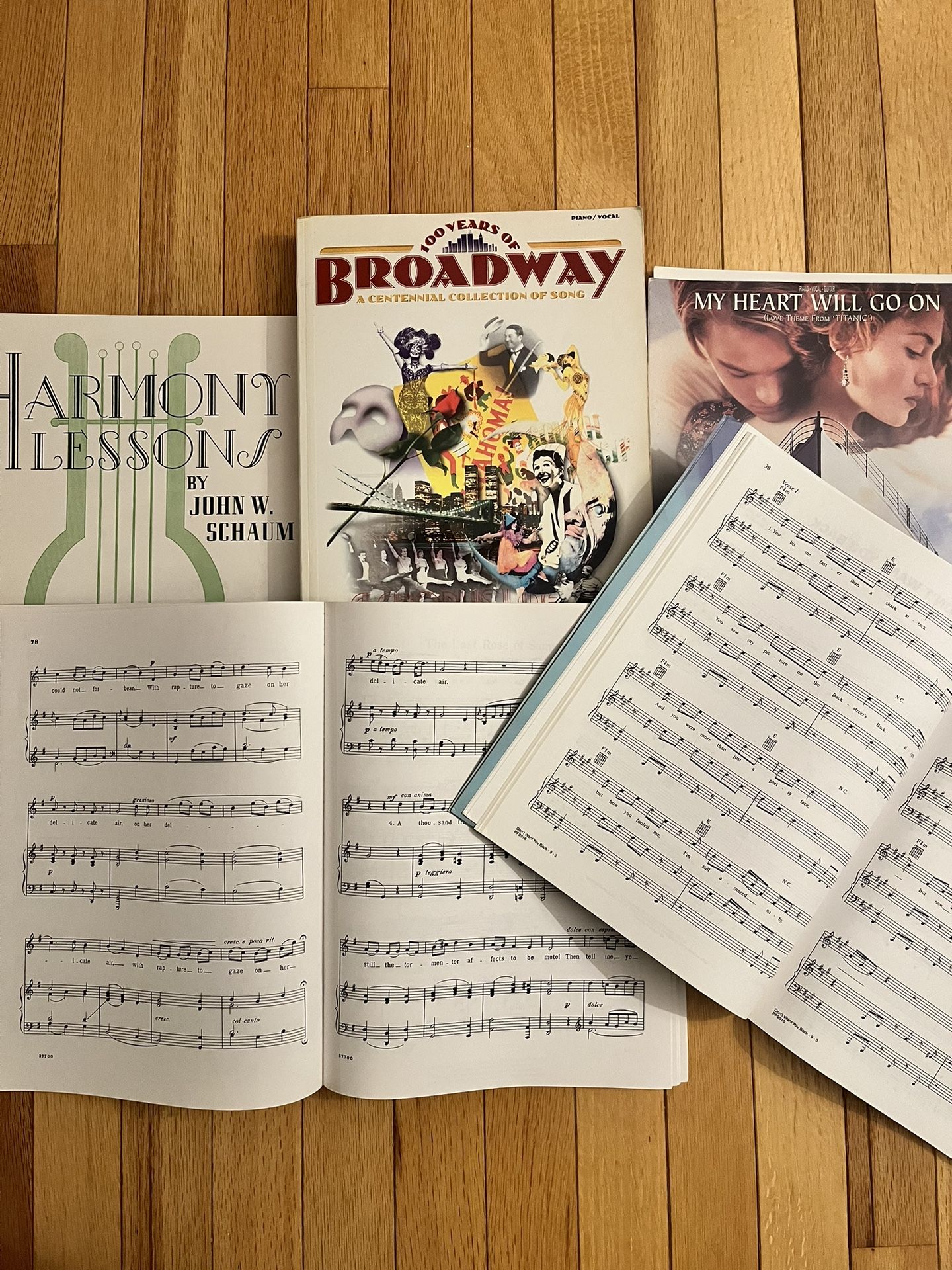 Collection Of Music Books- Piano And Song