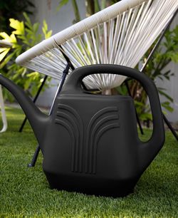 ❤️Watering Can $10 ❤️