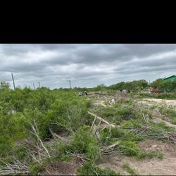 Se Asen Trabajos De Limpieza De Terrenos 