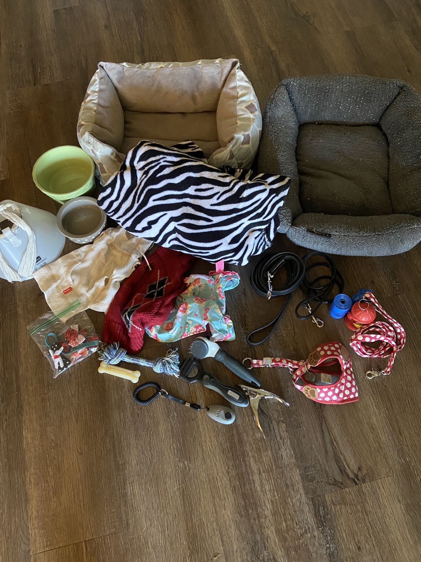 Dog Starter Accessories