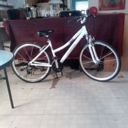 Schwinn 21 speed hybrid