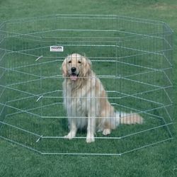 Precision Pet 30 in. Silver Expend with Snaps Boxed