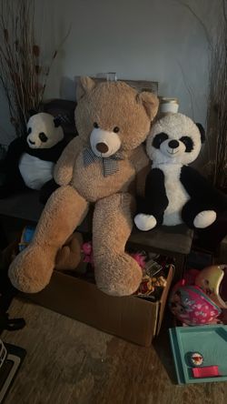 Big Bears For Sale