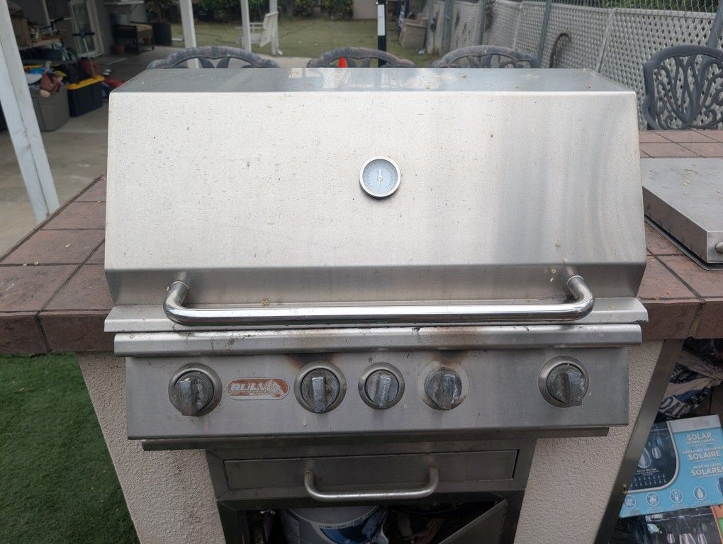Built-In BBQ Propane Grill