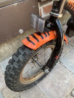 Schwinn Tiger bike for kids