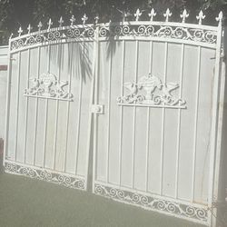Metal fence gates/ doors