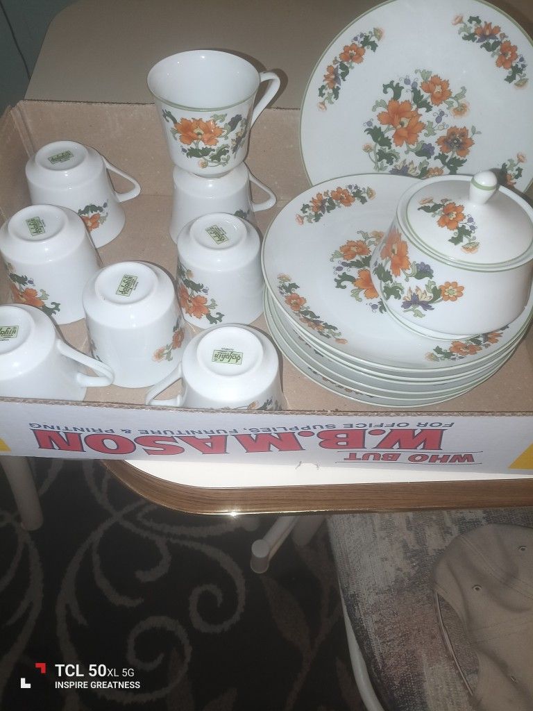 Dolphin Fine China Olympus