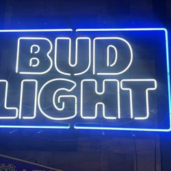 2ft X4 Ft Bud Light Neon