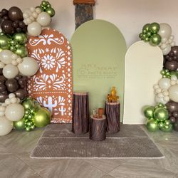 Balloon Garland And Backdrop