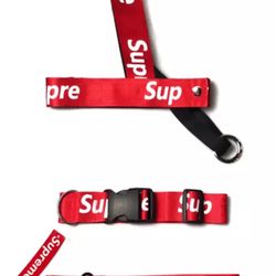 Sup Dog Leash, Collar And Leash SET