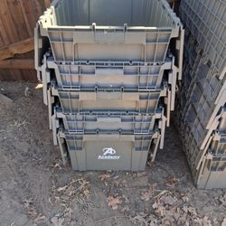 Storage Bins