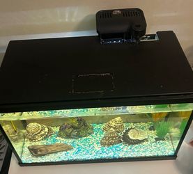$70 or better offer 10 gallon with a lot of breading pairs of fancy tail guppy’s