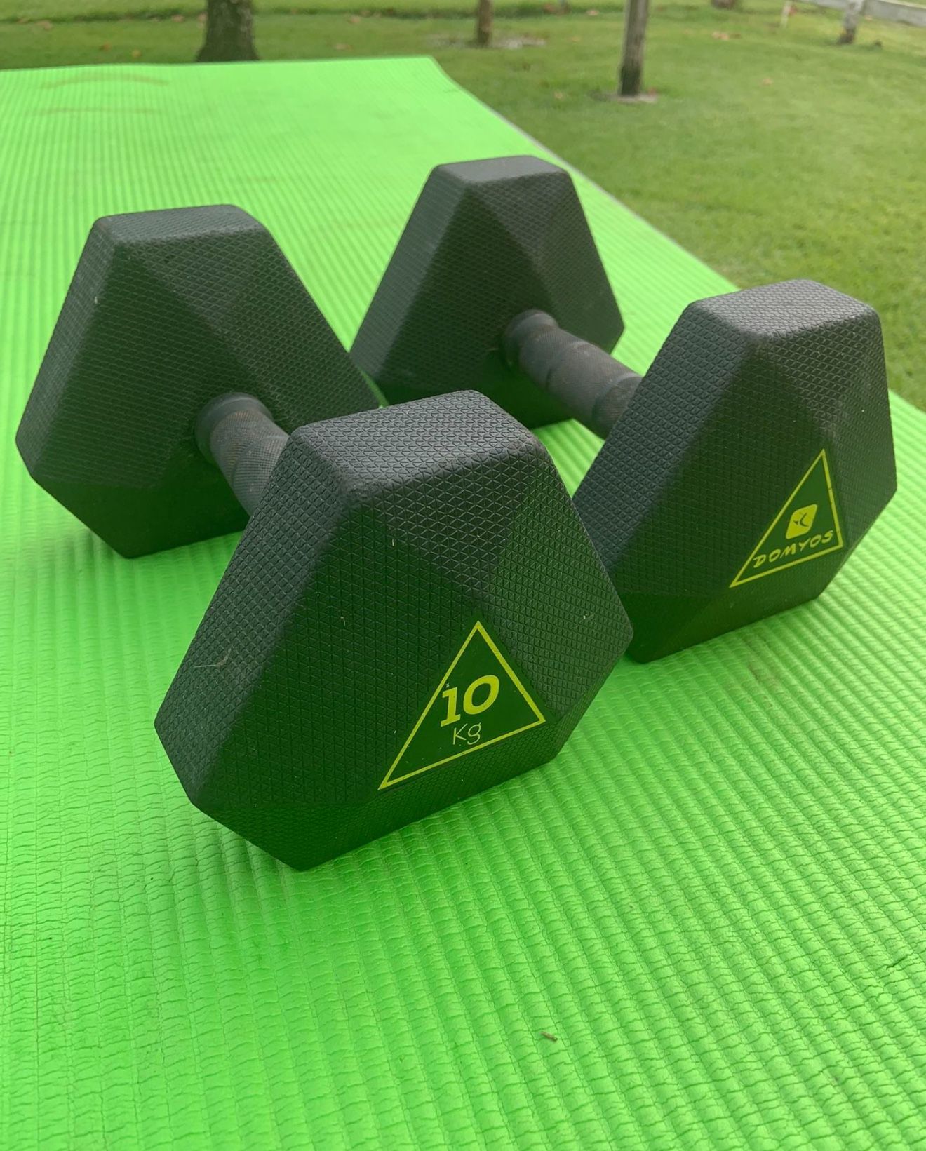 Decathlon Weight Training Hex Dumbbell, 22 lbs Each