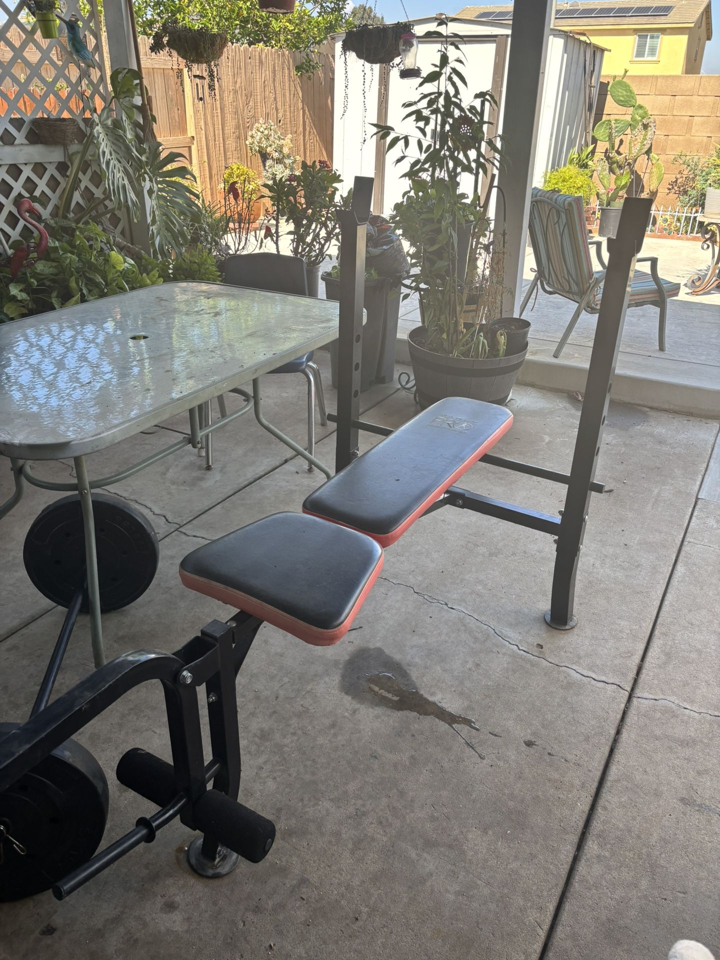 Bench Press