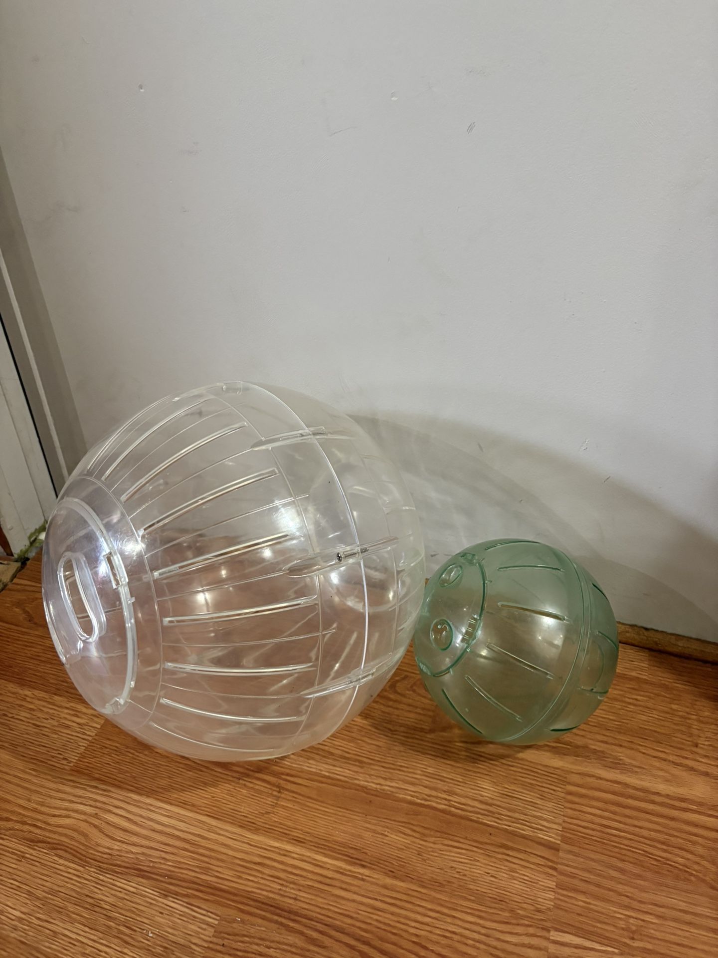 Big Hamster Ball