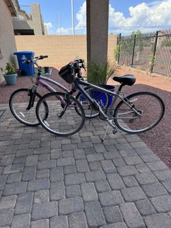 Men And Women Bicycles