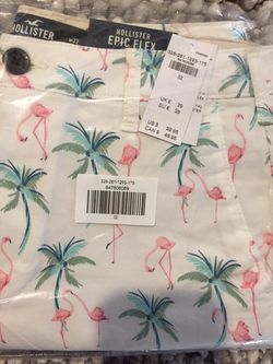 Hollister Shorts