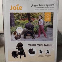 Joie Ginger and Mint Latch Travel System (Brand New)