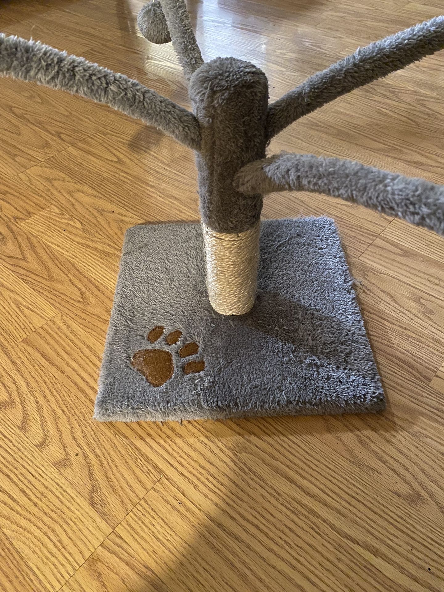 Cat Toy