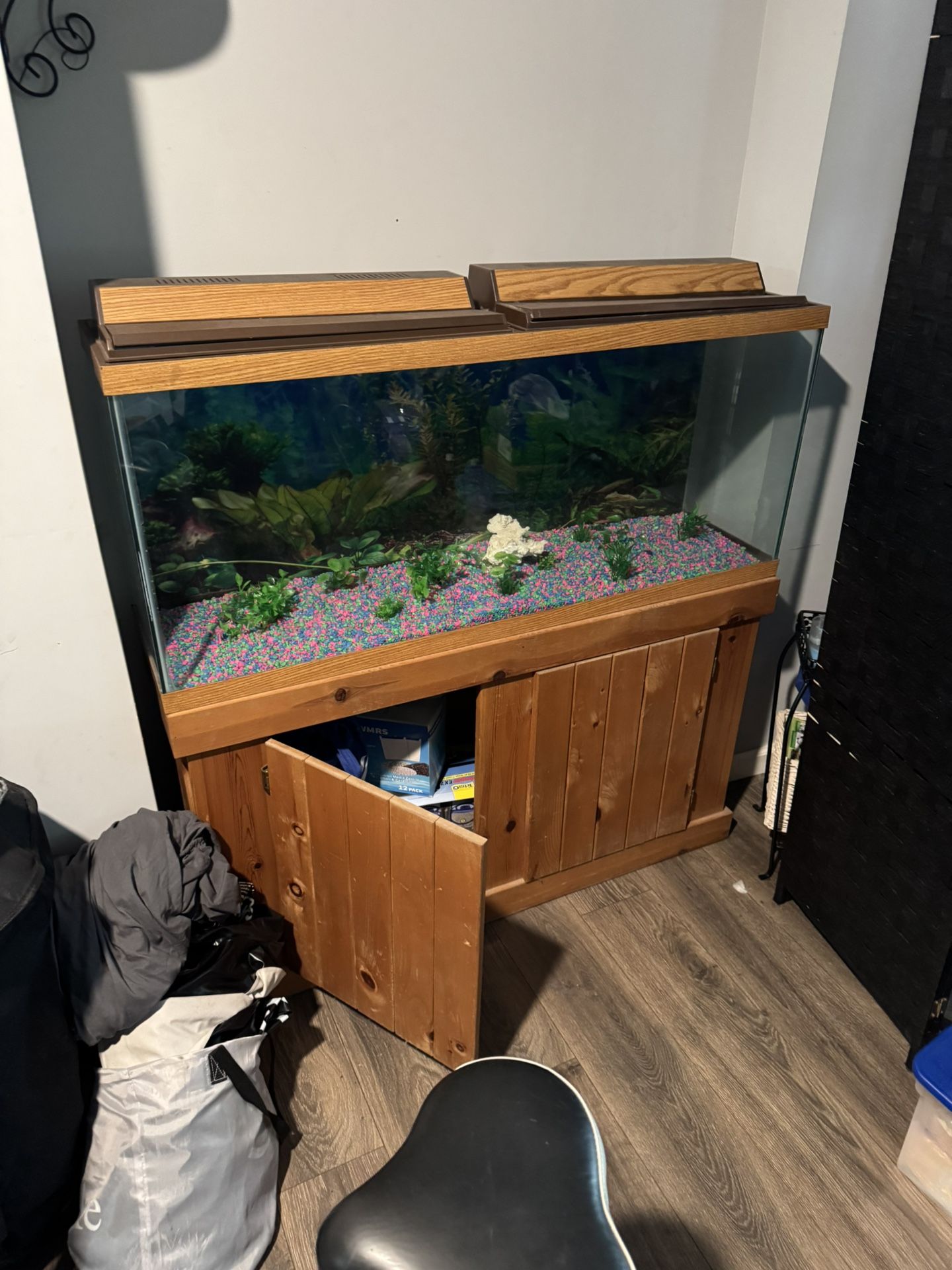 75 gallon tank with filter/Light hood $250