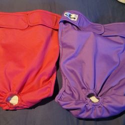 Doggy Diapers XL