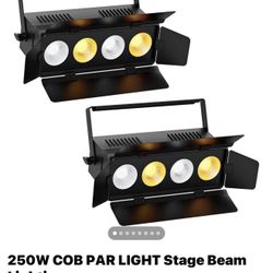 250 Watt COB Par Light