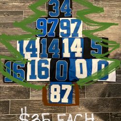 Lions Jerseys - $35 each - Youth & Adult - BRAND NEW - Porch Pick up in Macomb 22/Garfield