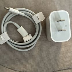 20watts Apple Original Fast Charger 