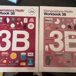 Singapore dimensions, math grade 4B