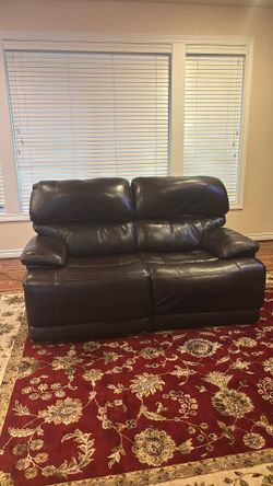 Electric Leather Couch