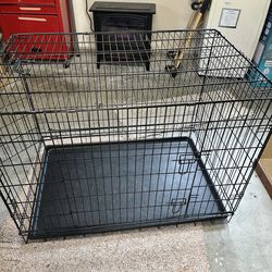 Dog kennel