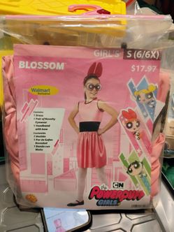 Powerpuff girls blossom costume