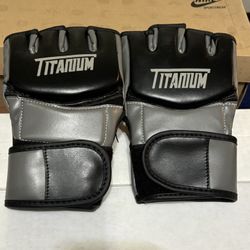 Titanium MMA Gloves Size XL Training Gym