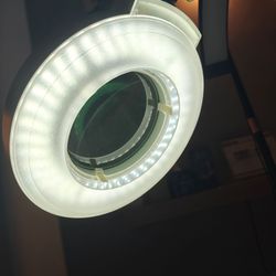 Facial magnifying lamp