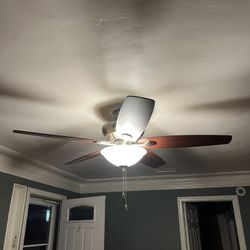 Ceiling fan