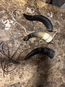 Lot 2 powder horns and 1 normal horn