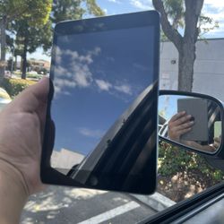 iPad Mini 