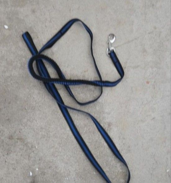 Long Blue Leash With Built In Bungie